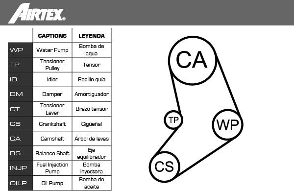 Airtex WPK-161601 - Water Pump & Timing Belt Set parts5.com