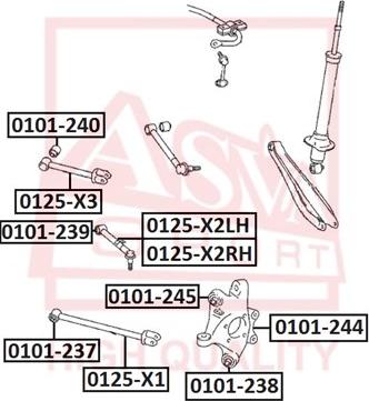 ASVA 0125-X1 - Рычаг подвески колеса parts5.com