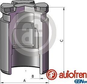 AUTOFREN SEINSA D025698 - Поршень, корпус скобы тормоза parts5.com