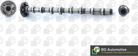 BGA CS0900 - Распредвал parts5.com