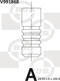 BGA V991868 - Выпускной клапан parts5.com