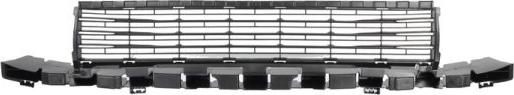 BLIC 6502-07-6050910P - Ventilation Grille, bumper parts5.com