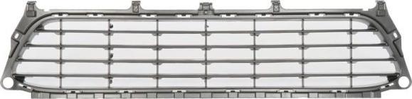 BLIC 6502-07-6050911P - Ventilation Grille, bumper parts5.com