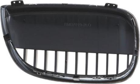 BLIC 6502-07-0085993P - Решетка радиатора parts5.com