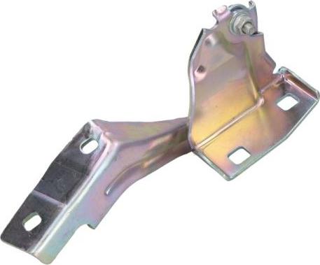 BLIC 6003-00-0385P - Шарнир, капот parts5.com