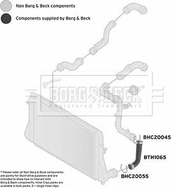 Borg & Beck BTH1065 - Трубка, нагнетание воздуха parts5.com