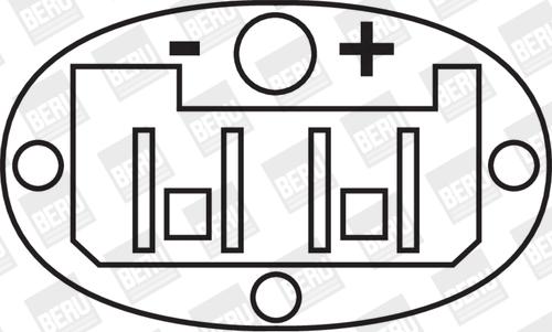 BorgWarner (BERU) ZS257 - Катушка зажигания parts5.com