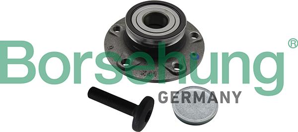 Borsehung B19310 - Комплект подшипника ступицы колеса parts5.com