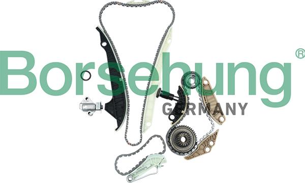 Borsehung B19209 - Комплект цепи привода распредвала parts5.com