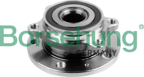 Borsehung B15625 - Комплект подшипника ступицы колеса parts5.com