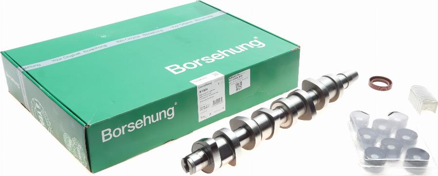 Borsehung B18664 - Комплект распредвала parts5.com