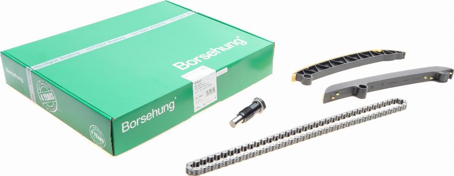 Borsehung B18296 - Комплект цепи привода распредвала parts5.com