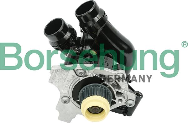 Borsehung B18736 - Water Pump parts5.com