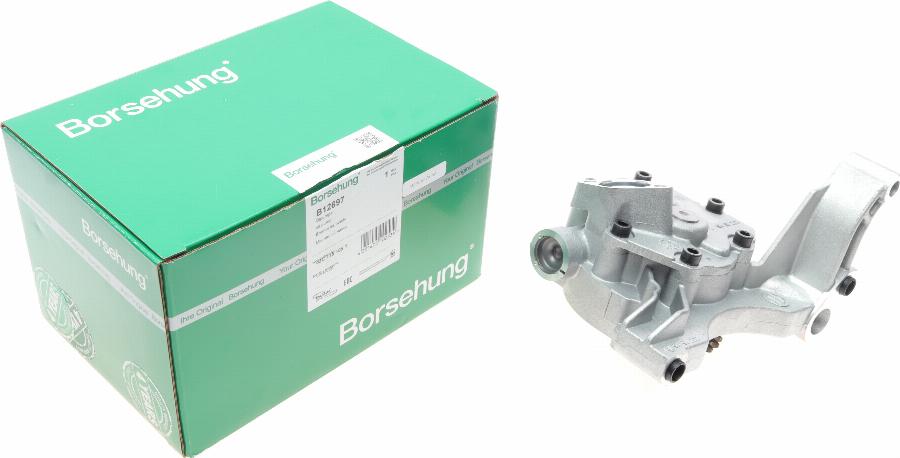 Borsehung B12697 - Масляный насос parts5.com