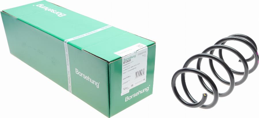 Borsehung B12620 - Пружина ходовой части parts5.com