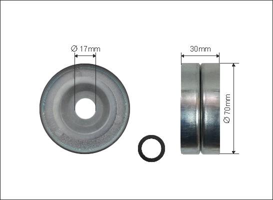 Caffaro 496-99 - Направляющий ролик, поликлиновый ремень parts5.com