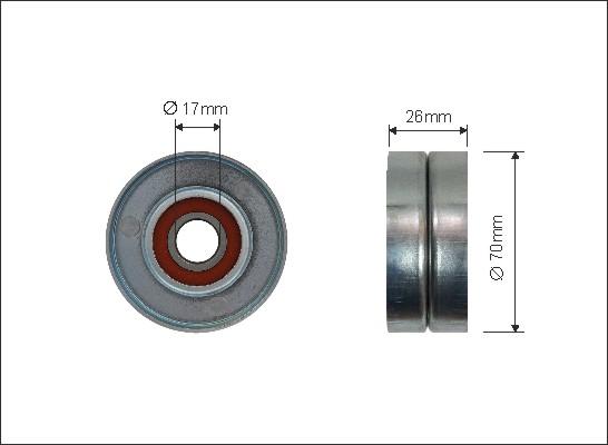 Caffaro 500119 - Направляющий ролик, поликлиновый ремень parts5.com