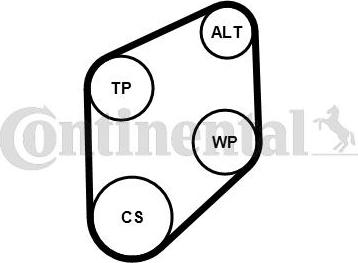 Continental CTAM 4PK800K1 - Поликлиновый ременный комплект parts5.com