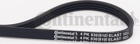 Continental CTAM 4 PK 830 ELAST - Поликлиновой ремень parts5.com