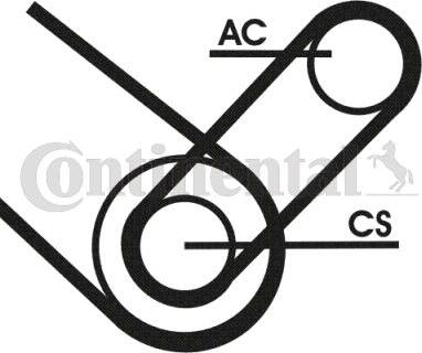 Continental CTAM 4PK874ELASTT1 - Поликлиновый ременный комплект parts5.com