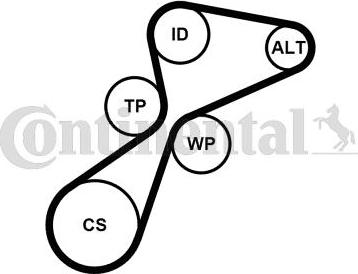 Continental CTAM 5PK1105K1 - Поликлиновый ременный комплект parts5.com