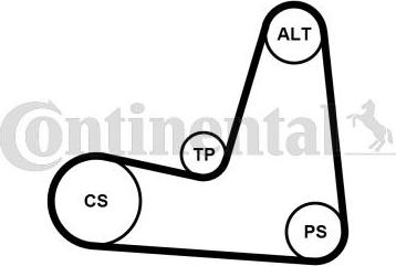 Continental CTAM 5PK1135K1 - V-Ribbed Belt Set parts5.com