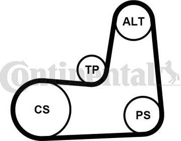 Continental CTAM 5 PK 1135 K2 - Поликлиновый ременный комплект parts5.com