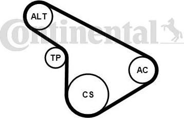 Continental CTAM 5PK1212K1 - Поликлиновый ременный комплект parts5.com