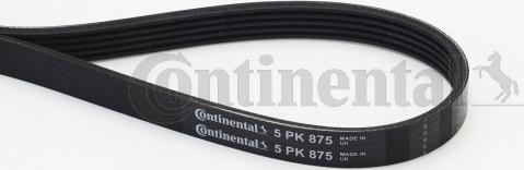 Continental CTAM 5PK875 - Поликлиновой ремень parts5.com