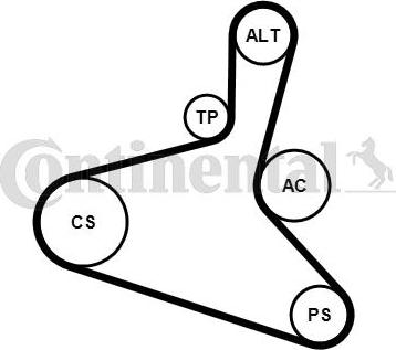 Continental CTAM 6DPK1195K2 - Поликлиновый ременный комплект parts5.com