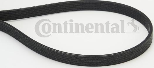 Continental CTAM 6 DPK 1817 - Поликлиновой ремень parts5.com