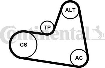 Continental CTAM 6PK962K1 - Поликлиновый ременный комплект parts5.com