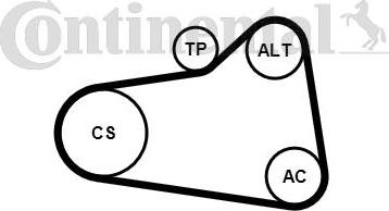 Continental CTAM 6PK905 EXTRA K1 - V-Ribbed Belt Set parts5.com