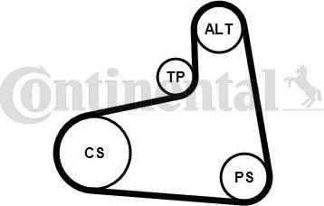 Continental CTAM 6PK906K1 - Поликлиновый ременный комплект parts5.com