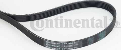 Continental CTAM 6 PK 976 - Поликлиновой ремень parts5.com