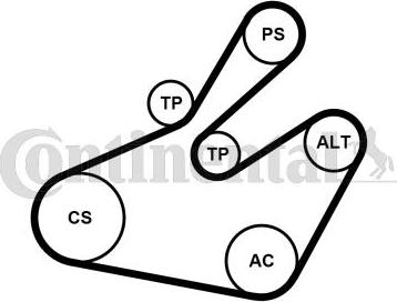 Continental CTAM 6PK1468K1 - Поликлиновый ременный комплект parts5.com