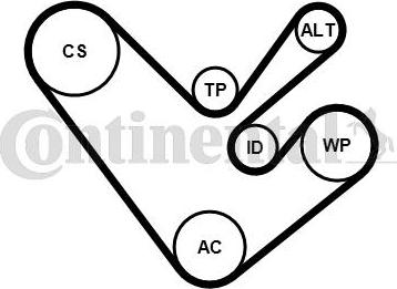 Continental CTAM 6PK1555K4 - Поликлиновый ременный комплект parts5.com