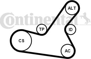 Continental CTAM 6PK1564K2 - Поликлиновый ременный комплект parts5.com