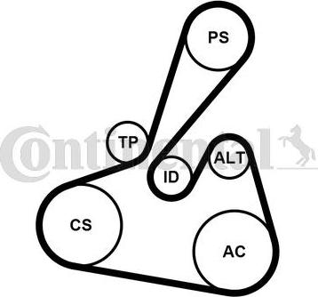 Continental CTAM 6 PK 1502 EXTRA K1 - Поликлиновый ременный комплект parts5.com