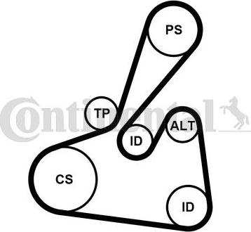 Continental CTAM 6PK1502 EXTRA K2 - Поликлиновый ременный комплект parts5.com