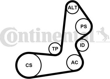 Continental CTAM 6PK1515K1 - Juego de correas trapeciales poli V parts5.com