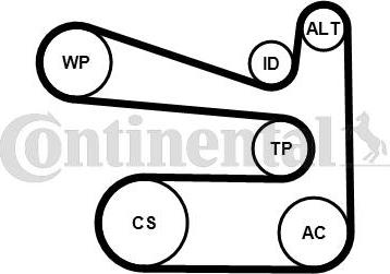 Continental CTAM 6PK1693K1 - Поликлиновый ременный комплект parts5.com