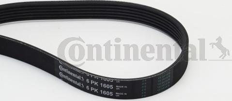 Continental CTAM 6PK1605 - Поликлиновой ремень parts5.com