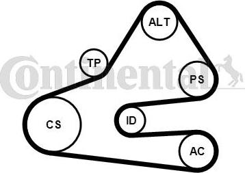 Continental CTAM 6 PK 1613 K1 - Поликлиновый ременный комплект parts5.com