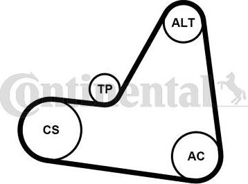 Continental CTAM 6PK1680K1 - Juego de correas trapeciales poli V parts5.com