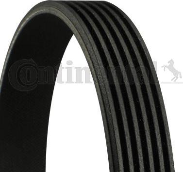 Continental CTAM 6PK1217 - Поликлиновой ремень parts5.com