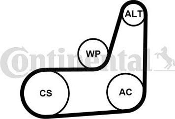 Continental CTAM 6PK1019 ELAST T2 - Поликлиновый ременный комплект parts5.com