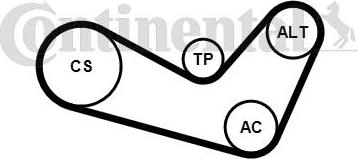 Continental CTAM 6 PK 1080 K1 - Поликлиновый ременный комплект parts5.com