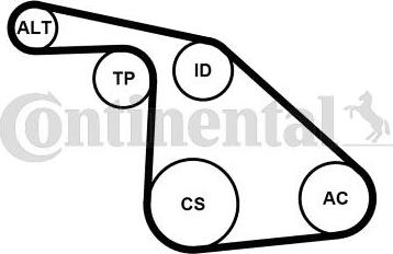 Continental CTAM 6PK1038K1 - Поликлиновый ременный комплект parts5.com