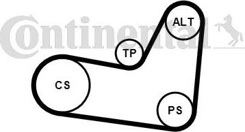 Continental CTAM 6PK1070K2 - Поликлиновый ременный комплект parts5.com